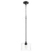 Myhouse Lighting Quorum - 3202-69 - One Light Pendant - Dakota - Textured Black