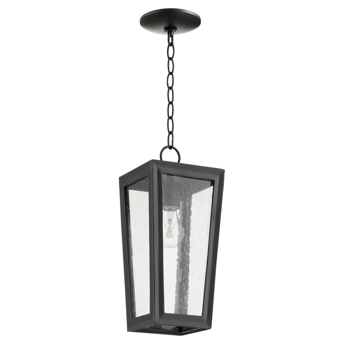 Myhouse Lighting Quorum - 716-6-69 - One Light Pendant - Bravo - Textured Black