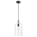 Myhouse Lighting Quorum - 8141-69 - One Light Pendant - 8141 Pendants - Textured Black