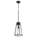 Myhouse Lighting Quorum - 826-69 - One Light Pendant - Pylon Pendants - Textured Black w/ Clear