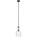 Myhouse Lighting Kichler - 42456BK - One Light Mini Pendant - Everly - Black