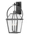 Myhouse Lighting Hinkley - 2778BLB - LED Outdoor Lantern - Nouvelle - Blackened Brass