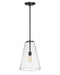 Myhouse Lighting Hinkley - 41047SK - LED Pendant - Vance - Satin Black