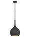 Myhouse Lighting Hinkley - 4457BK - LED Pendant - Ziggy - Black