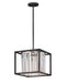 Myhouse Lighting Hinkley - 4554BK - LED Pendant - Giada - Black