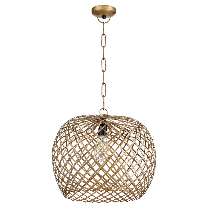 Myhouse Lighting Quorum - 81-75 - One Light Pendant - Artisan Pendants - Artisan Brass