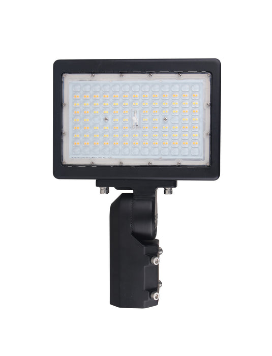 Myhouse Lighting Nuvo Lighting - 65-619 - LED Flood Light - Bronze