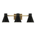 Myhouse Lighting Generation Lighting - 4441303-848 - Three Light Wall / Bath - Towner - Satin Brass