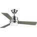 Myhouse Lighting Progress Lighting - P2555-0930K - 44"Ceiling Fan - Trevina Ii - Brushed Nickel