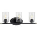 Myhouse Lighting Progress Lighting - P300278-031 - Three Light Bath - Riley - Black