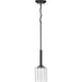 Myhouse Lighting Progress Lighting - P500103-143 - One Light Mini Pendant - Kene - Graphite