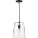 Myhouse Lighting Progress Lighting - P500241-031 - One Light Pendant - Clarion - Black