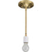 Myhouse Lighting Progress Lighting - P5198-12 - One Light Pendant - Markor - Satin Brass