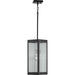 Myhouse Lighting Progress Lighting - P550047-031 - One Light Hanging Lantern - Felton - Black