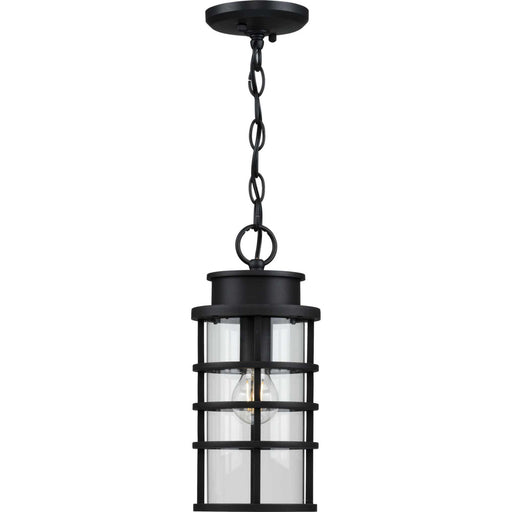 Myhouse Lighting Progress Lighting - P550061-031 - One Light Hanging Lantern - Port Royal - Black