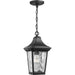 Myhouse Lighting Progress Lighting - P550062-031 - One Light Hanging Lantern - Marquette - Black