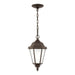 Myhouse Lighting Generation Lighting - 60941-71 - One Light Outdoor Pendant - Bakersville - Antique Bronze