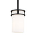 Myhouse Lighting Generation Lighting - 6121601-112 - One Light Mini-Pendant - Robie - Midnight Black