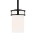 Myhouse Lighting Generation Lighting - 6121601-112 - One Light Mini-Pendant - Robie - Midnight Black