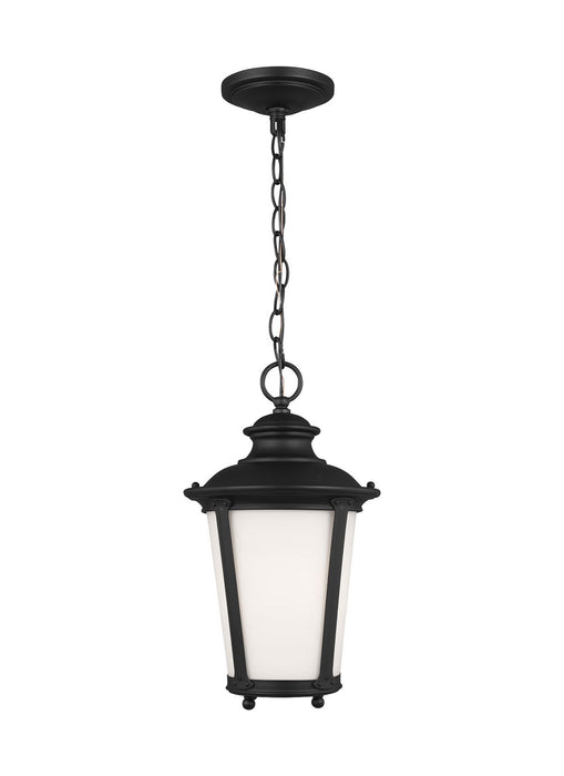 Myhouse Lighting Generation Lighting - 62240EN3-12 - One Light Outdoor Pendant - Cape May - Black