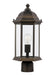 Myhouse Lighting Generation Lighting - 8238651EN3-71 - One Light Outdoor Post Lantern - Sevier - Antique Bronze