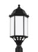 Myhouse Lighting Generation Lighting - 8238751-12 - One Light Outdoor Post Lantern - Sevier - Black