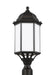 Myhouse Lighting Generation Lighting - 8238751EN3-71 - One Light Outdoor Post Lantern - Sevier - Antique Bronze