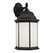 Myhouse Lighting Generation Lighting - 8738751-12 - One Light Outdoor Wall Lantern - Sevier - Black