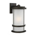 Myhouse Lighting Generation Lighting - 8890901-71 - One Light Outdoor Wall Lantern - Wilburn - Antique Bronze