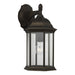 Myhouse Lighting Generation Lighting - 8938701-71 - One Light Outdoor Wall Lantern - Sevier - Antique Bronze