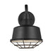Myhouse Lighting Visual Comfort Studio - 95374-12 - Cage - Barn Light - Black