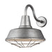 Myhouse Lighting Visual Comfort Studio - 98374-57 - Cage - Barn Light - Weathered Pewter