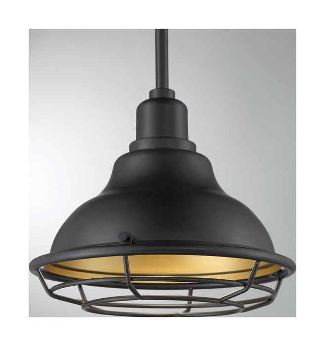 Myhouse Lighting Nuvo Lighting - 60-7013 - One Light Pendant - Newbridge - Dark Bronze / Gold