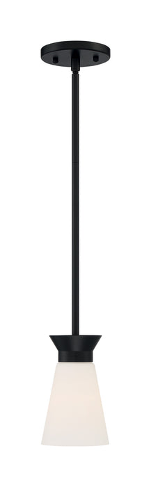 Myhouse Lighting Nuvo Lighting - 60-7314 - One Light Mini Pendant - Caleta - Black