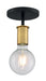 Myhouse Lighting Nuvo Lighting - 60-7343 - One Light Semi Flush Mount - Ryder - Black / Brushed Brass