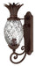 Myhouse Lighting Hinkley - 2220CB - LED Wall Mount - Plantation - Copper Bronze