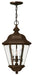 Myhouse Lighting Hinkley - 2422CB - LED Hanging Lantern - Clifton Park - Copper Bronze