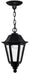 Myhouse Lighting Hinkley - 1412BK - LED Hanging Lantern - Manor House - Black