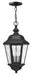 Myhouse Lighting Hinkley - 1672BK - LED Hanging Lantern - Edgewater - Black