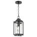 Myhouse Lighting Quorum - 7022-69 - One Light Pendant - Domus - Textured Black