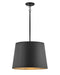 Myhouse Lighting Hinkley - 11154BK - LED Pendant - Alder - Black