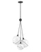 Myhouse Lighting Hinkley - 30304BLK-WH - LED Pendant - Skye - Black