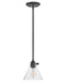 Myhouse Lighting Hinkley - 3697BK-CL - LED Pendant - Arti - Black