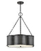 Myhouse Lighting Hinkley - 4446BLB - LED Pendant - Chance - Blackened Brass
