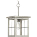 Myhouse Lighting Progress Lighting - P500317-009 - One Light Pendant - Hedgerow - Brushed Nickel