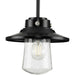 Myhouse Lighting Progress Lighting - P550093-031 - One Light Hanging Lantern - Tremont - Matte Black