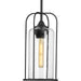 Myhouse Lighting Progress Lighting - P550292-031 - One Light Hanging Lantern - Watch Hill - Textured Black