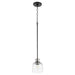 Myhouse Lighting Quorum - 310-6965 - One Light Pendant - Monarch - Textured Black w/ Satin Nickel