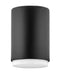 Myhouse Lighting Hinkley - 30071BK - LED Flush Mount - Cedric - Black