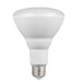 Myhouse Lighting Westinghouse Lighting - 5008100 - Light Bulb - Frost